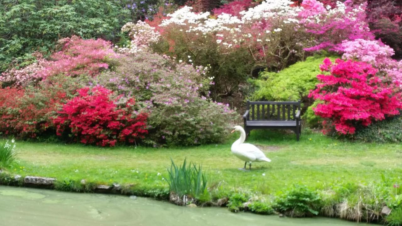 Whitemoor House B&B Lyndhurst Dış mekan fotoğraf