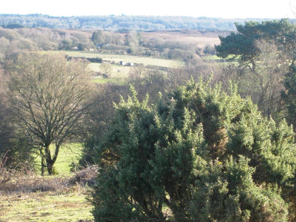 Whitemoor House B&B Lyndhurst Dış mekan fotoğraf
